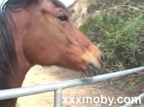Missy Monroe in Pov Squirt Alert - Full