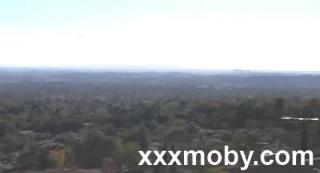 Summer Luv in Universal Max 7 - Full